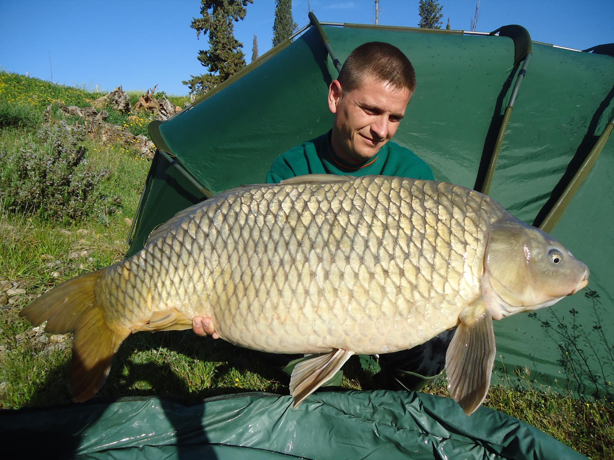 CARP FISHING...... - Ebro river SPAIN